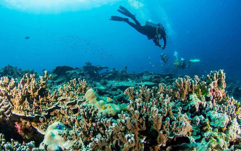 Phuket/Khao Lak: Similan Island Adventure Tour - Key Points