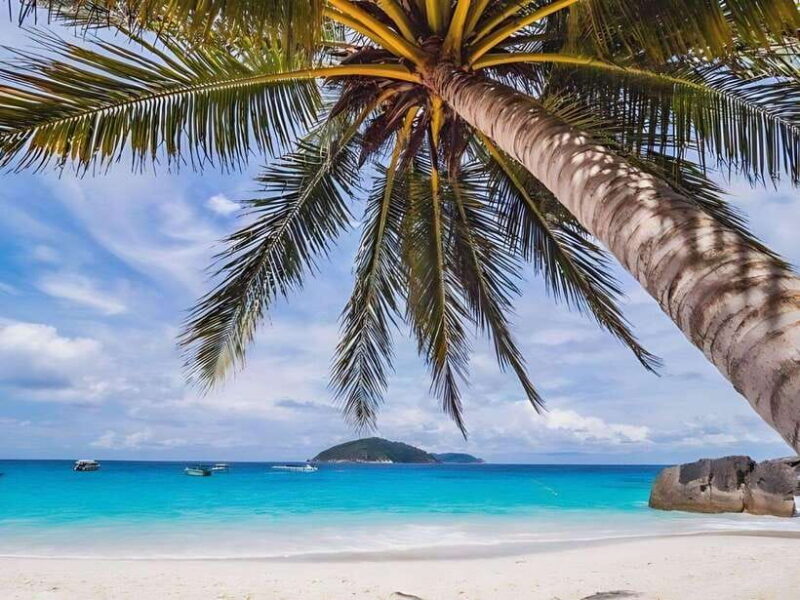 Phuket/Khao Lak: Similan Islands Boat Trip With 3 Meals - Important Information