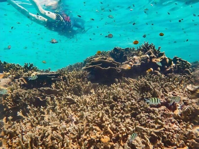 Phuket/Khao Lak: Similan Islands Boat Trip With 3 Meals - What to Expect on the Similan Islands Boat Trip