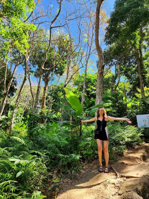 Phuket Lookouts Tour With Lunch at Organic Farm - Key Points