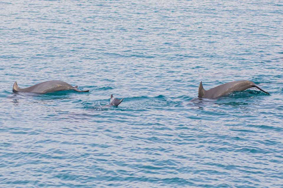Phuket: Maiton, Coral, and Racha Island Snorkeling Trip - Suitability and Restrictions