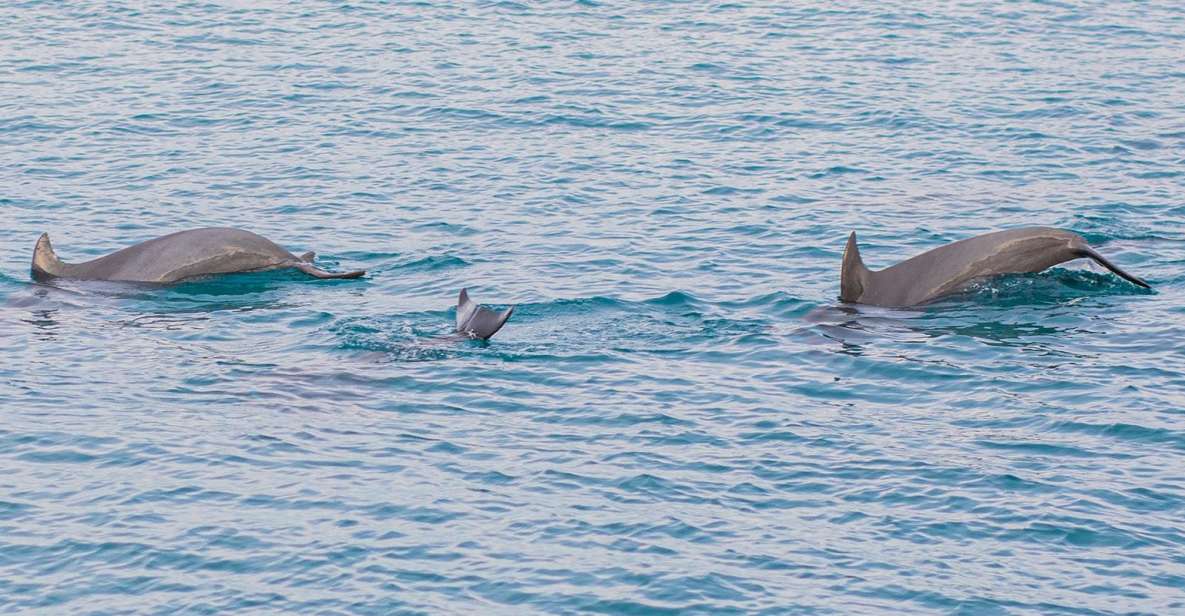 Phuket: Maiton, Coral, and Racha Island Snorkeling Trip - Highlights of the Trip