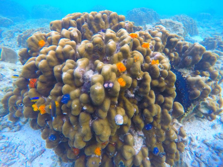 Phuket: Maya Bay, Phi Phi, Green, and Khai Islands Day Trip - Vibrant Sea Caves