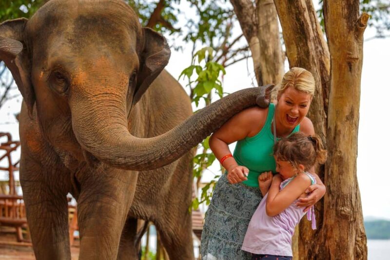 Phuket: Meet Feed & Relax With Elephant - Customer Feedback