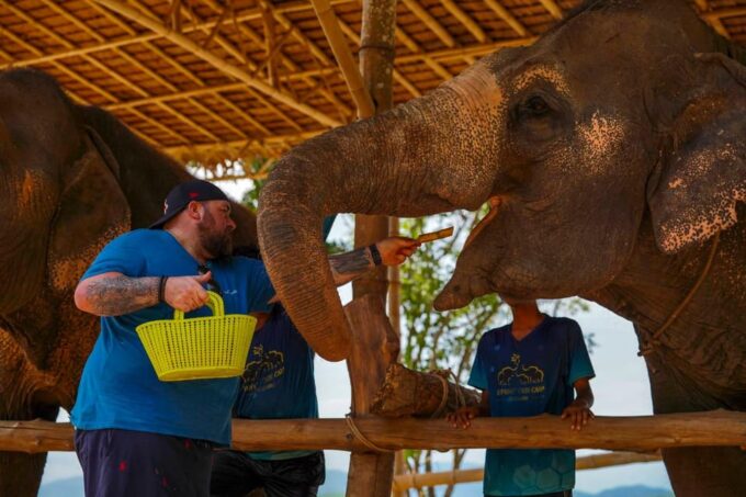 Phuket: Meet Feed & Relax With Elephant - Frequently Asked Questions