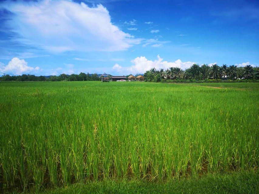 Phuket Mountain Bike Tour On Koh Yao Noi - Picnic and Swimming