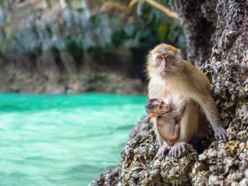 Phuket: Phi Phi Islands, Bamboo Island and Pileh Lagoon Trip - Activities and Key Stops