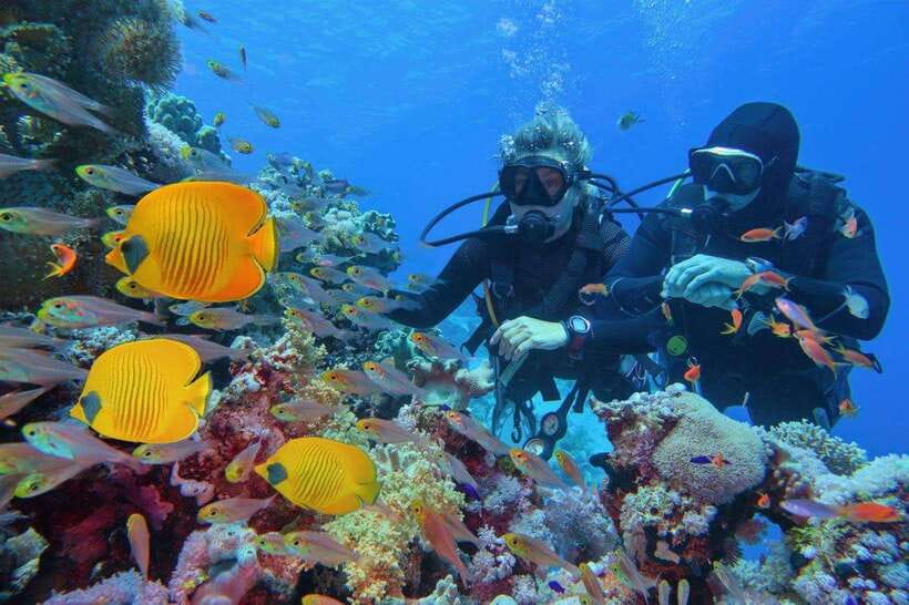 Phuket: Phi Phi Islands & Shark Point Certified Scuba Dives - Marine Park Fees