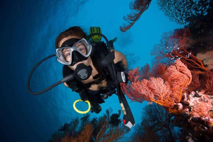 Phuket: Phi Phi Islands & Shark Point Certified Scuba Dives - Important Considerations