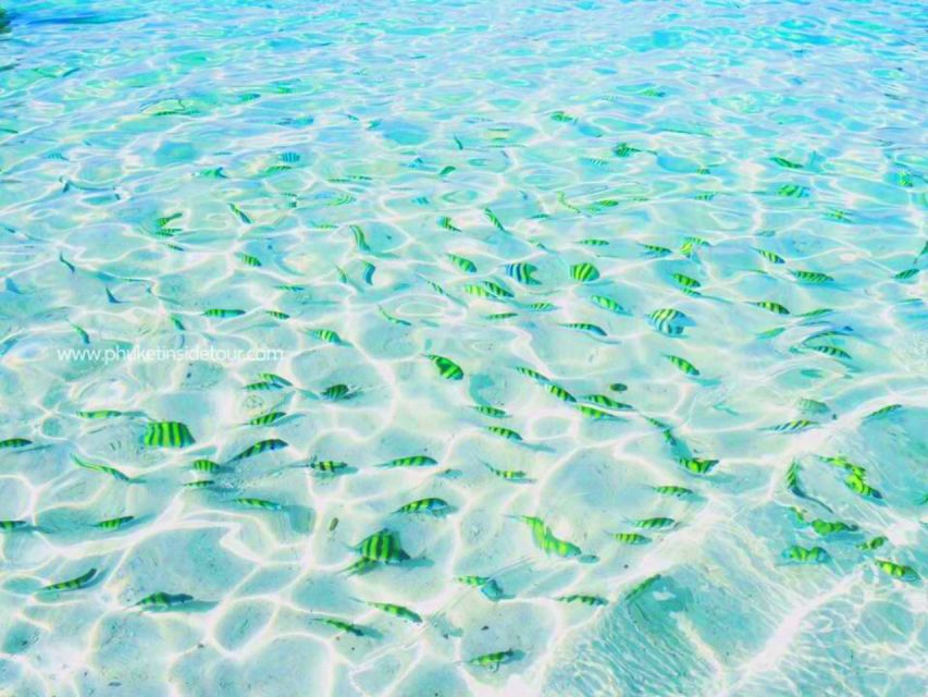 Phuket: Phi Phi & Khai Island Private Speedboat Charter Tour - Inclusions