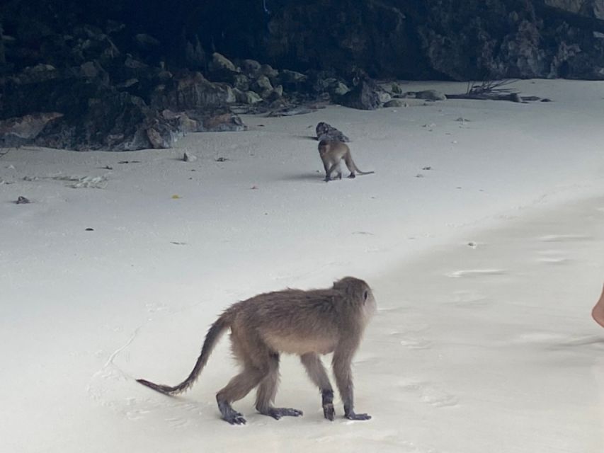 Phuket: Phi Phi & Khai Island Private Speedboat Charter Tour - Frequently Asked Questions