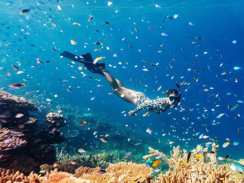 Phuket: Phi Phi, Maya and Khai Or Bamboo Island by Catamaran - Activity Overview