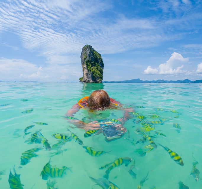 Phuket: Phi Phi, Maya Bay Include Transfer & Sea View Lunch - Inclusions