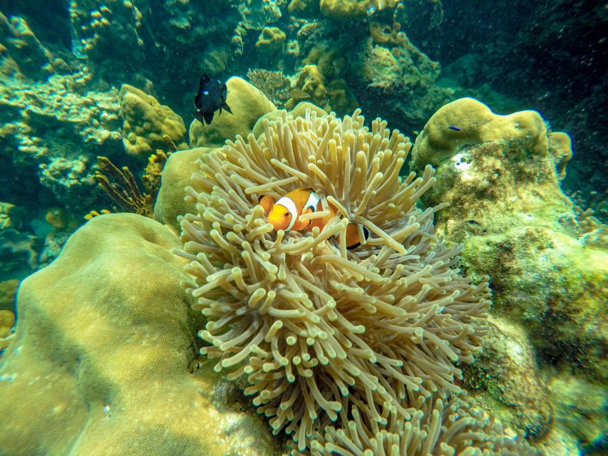 Phuket: Phi Phi Sunrise Boat Tour to Bamboo and Khai Island - Included Amenities