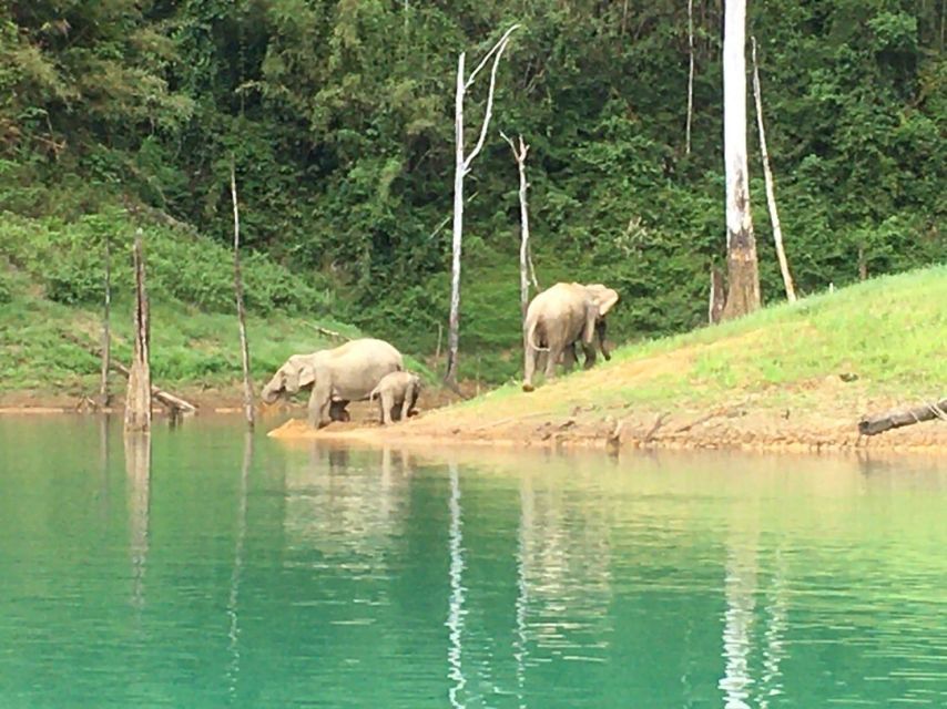 Phuket: Private Day Trip to Cheow Larn Lake - All Inclusive - Visit to Local Market