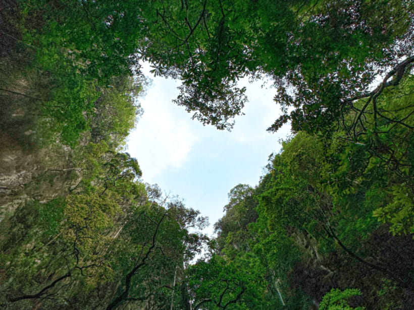 Phuket: Private Luxury Vintage Boat Trip to Phang Nga Bay - Frequently Asked Questions