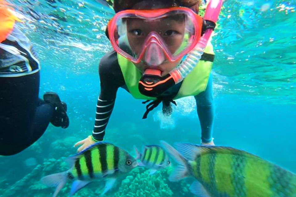 Phuket: Private Rok Island and Haa Island Speedboat Charter - Pricing and Booking Details