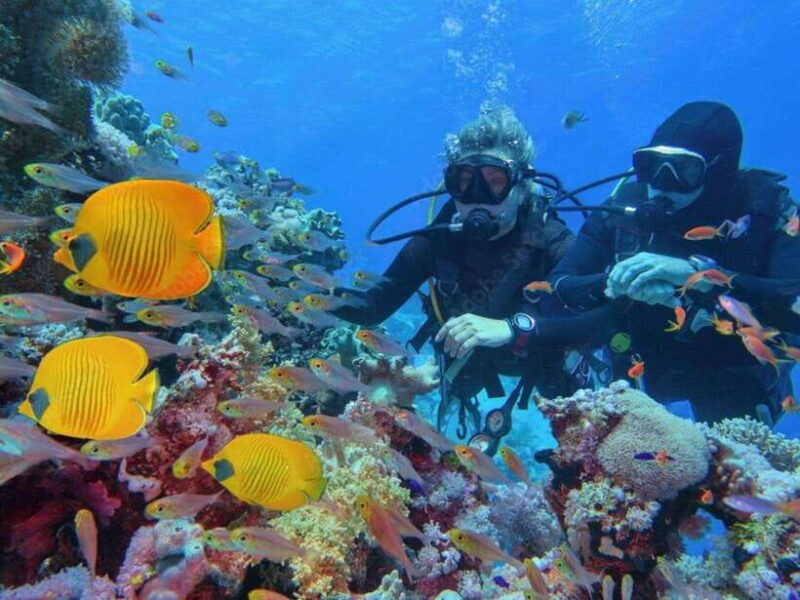 Phuket: Racha Island and Coral Islands + Scuba Beach Dive - Customer Feedback