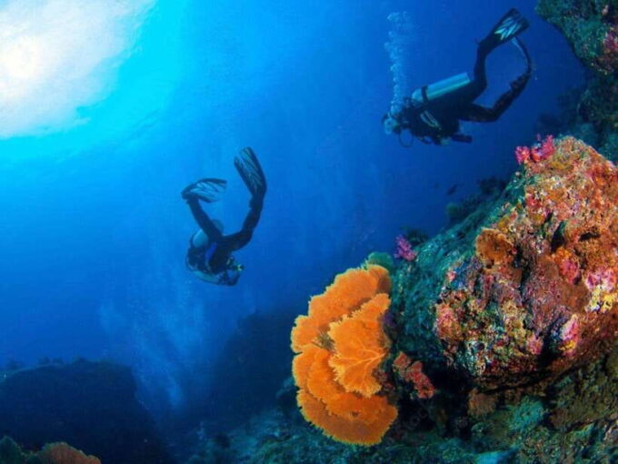 Phuket: Racha Island and Coral Islands + Scuba Beach Dive - Destination: Coral Island
