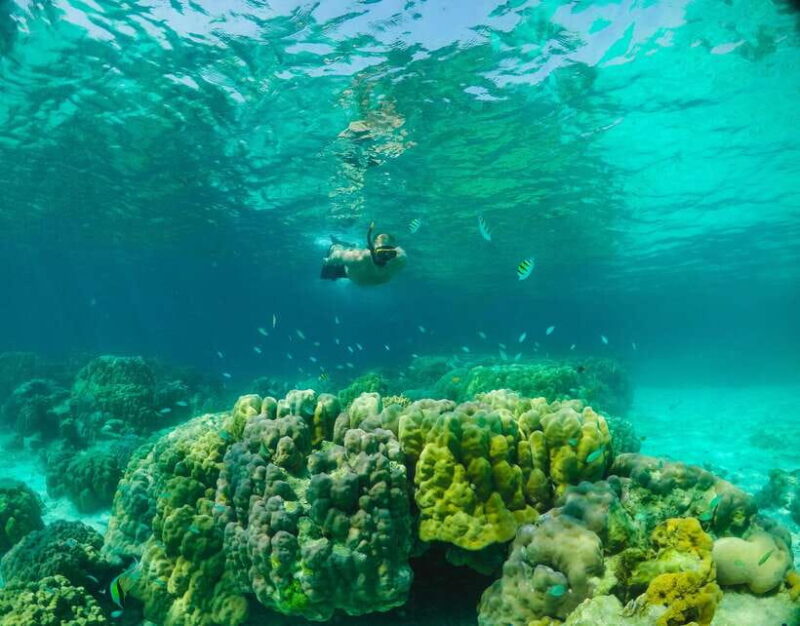 Phuket: RAYA YAI - Snorkeling Safari & Island Tour - Highlights of the Snorkeling Safari