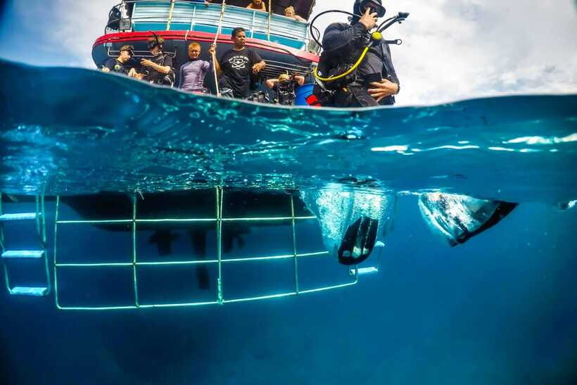 Phuket: RAYA YAI - Try Scuba Diving Without Experience - Frequently Asked Questions