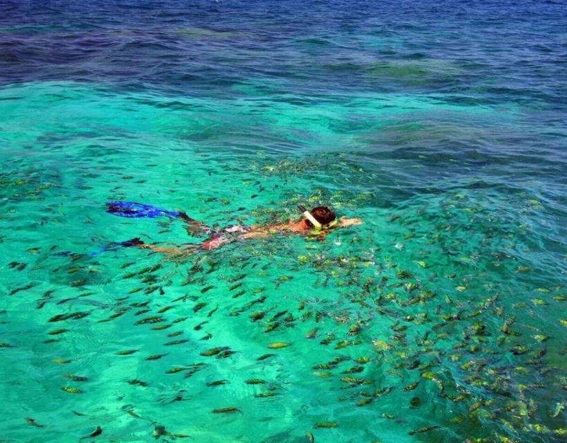Phuket Similan Islands Private Speedboat Adventure - Key Points