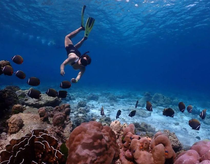 Phuket Similan Islands Private Speedboat Adventure - Important Information