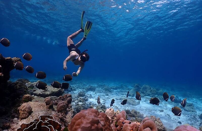 Phuket : Similan Islands Tour - Important Information