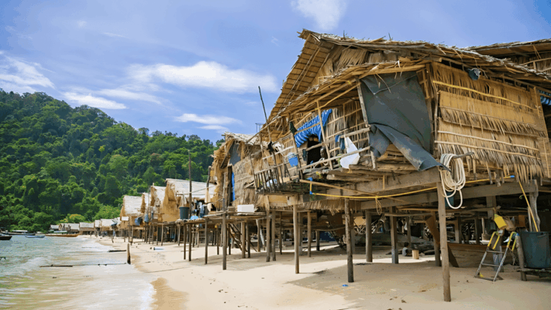 Phuket : Surin Island by Speedboat - Marine Life Encounters