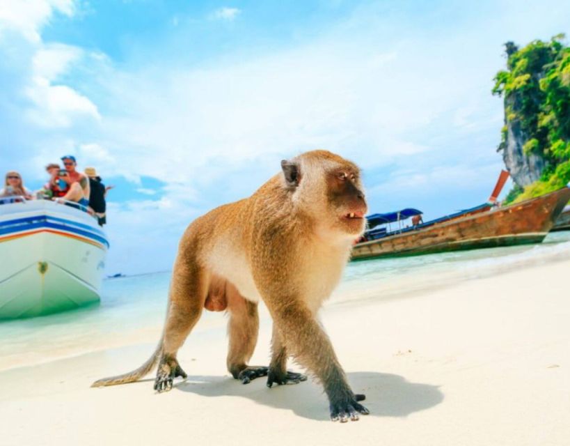 Phuket: VIP Private Boat to Phi Phi Island: Snorkeling Tour - Key Points
