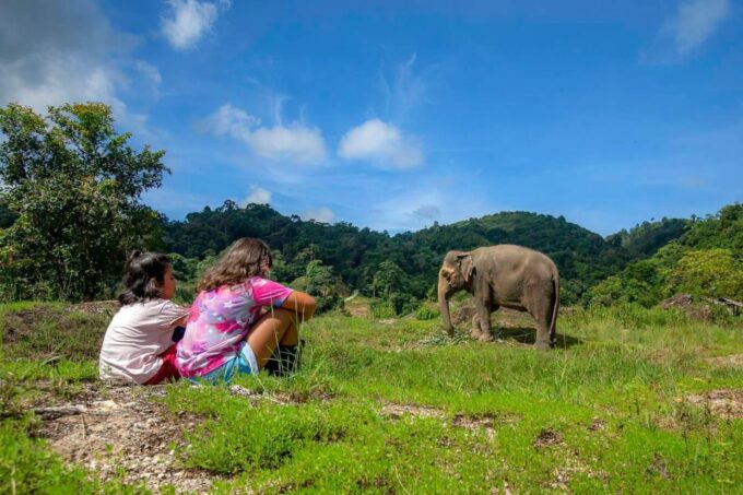Phuket: Walk and Feed Ethical Elephant Nature Park Tour - Booking and Availability