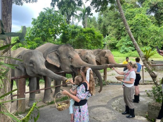 Phuket: Walk and Feed Ethical Elephant Nature Park Tour - Ethical Practices at the Elephant Nature Park