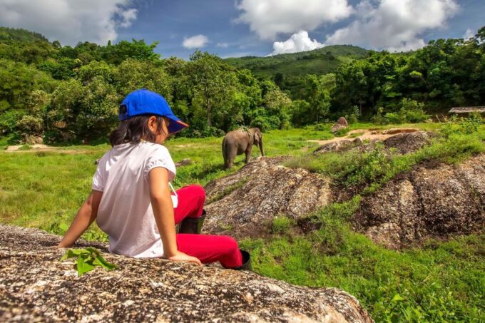 Phuket: Walk and Feed Ethical Elephant Nature Park Tour - What to Expect on the Tour