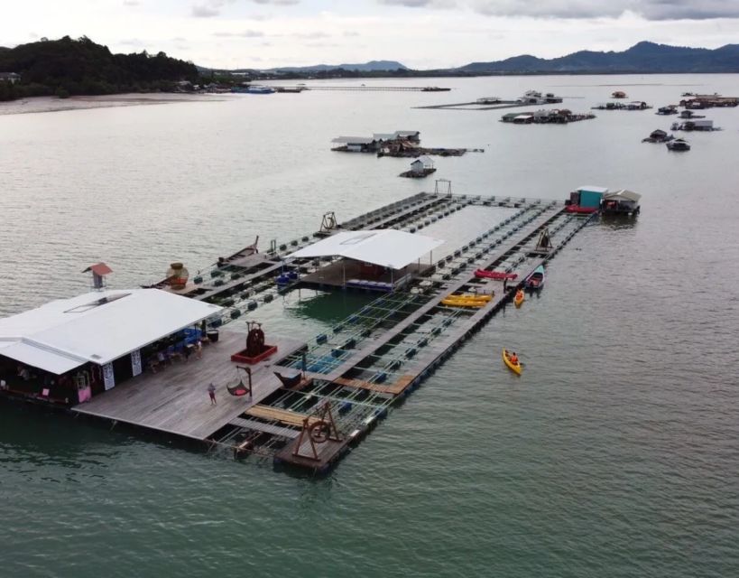 Phuket Zipline Adventure & Local Floating Farm Experience - Feeding Exotic Marine Life