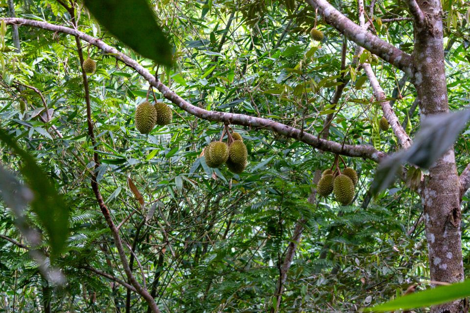 Phuket: Ziplining and Trekking Adventure - Booking Details