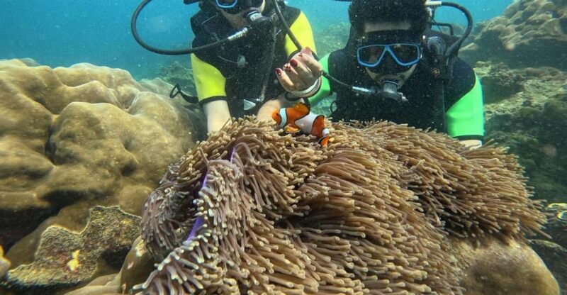 Phuket:Premium Khai Islands Tour Or Water Activities Options - Key Points