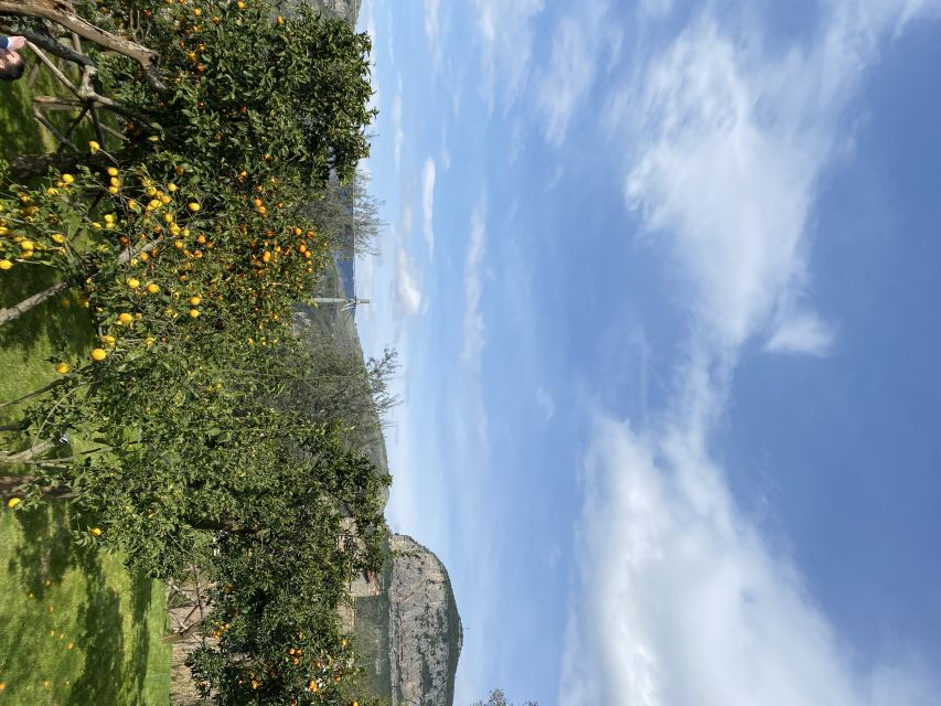 Piano Di Sorrento: Cooking Class With Food Tasting and Wine - Meal With Local Wine and Limoncello