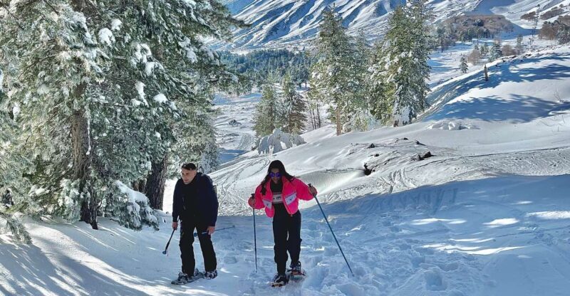 Piano Provenzana: Guided Mt. Etna Snowshoeing Trek - The Landscape: Why It’s So Special