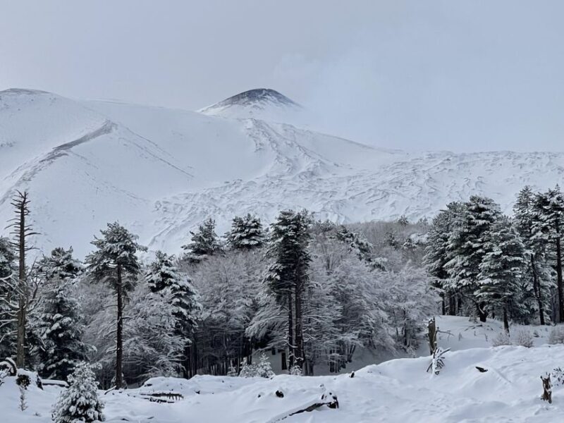 Piano Provenzana: Guided Mt. Etna Snowshoeing Trek - Meeting Point and Timing