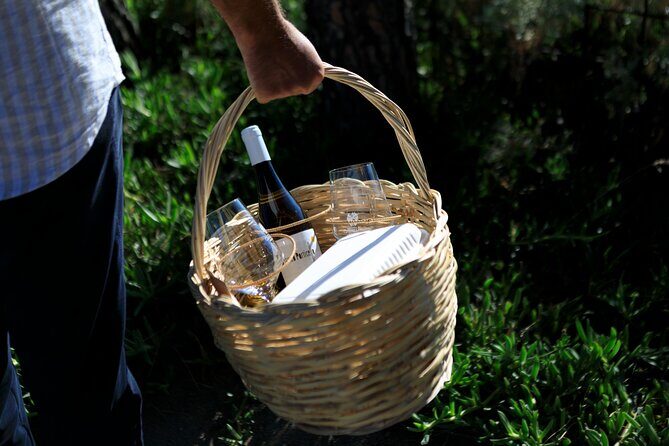 Pic-nic in the vineyard - A Detailed Look at the Vineyard Picnic Experience