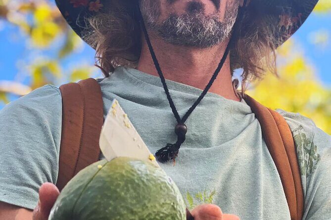 Pick and Taste Tropical Fruit - Why This Tour Works Well