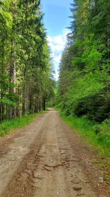 Pick-up from Cluj: e-Mountain Bike Tour Lake Dragan - An In-Depth Look at the Lake Dragan e-Mountain Bike Tour