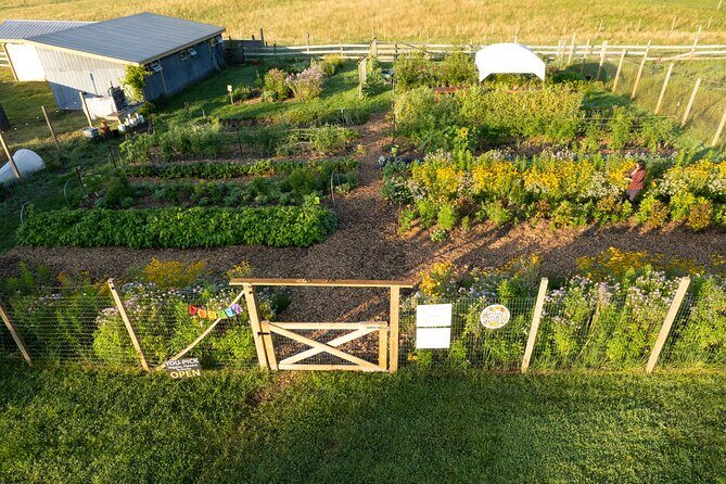 Pick Your Own Flowers on the Farm - An In-Depth Look at the Experience