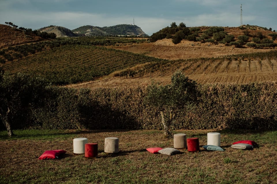 Picnic Experience in Alcamo Estate - Final Words
