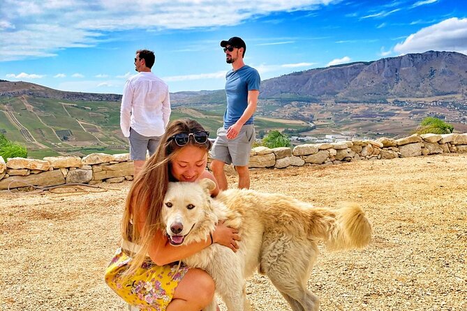 Picnic in an Organic Winery in Alcamo - Preparing for Your Winery Visit