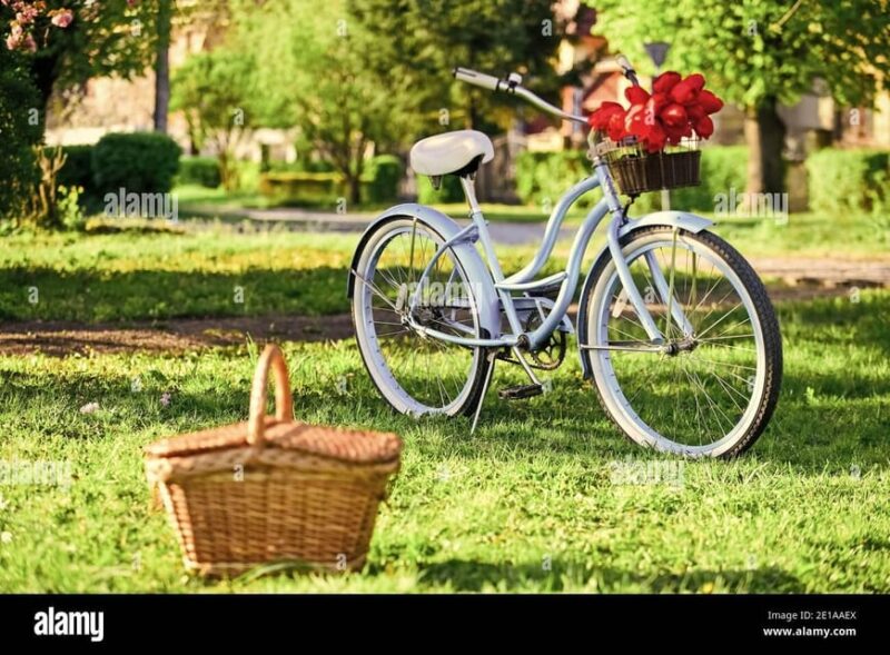 Picnic in the Middle of a Vineyard by E-Bike - Discovering Mont Ventoux and Dentelles De Montmirail