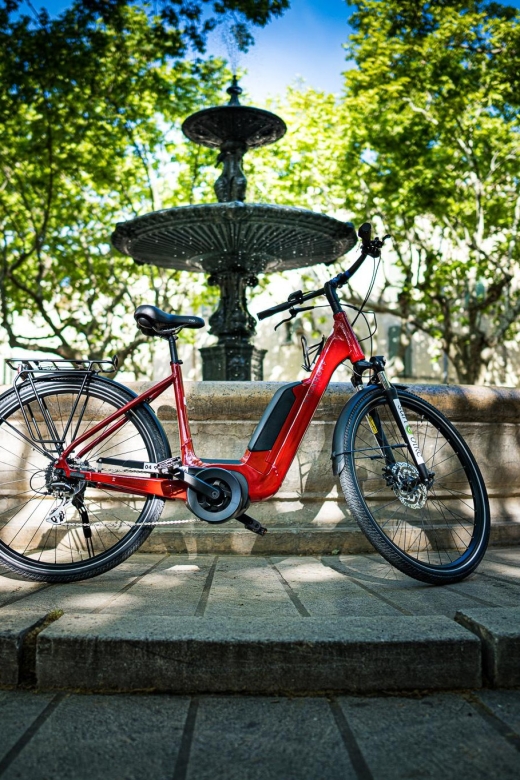 Picnic in the Middle of a Vineyard by E-Bike - Customized Itineraries and Flexibility