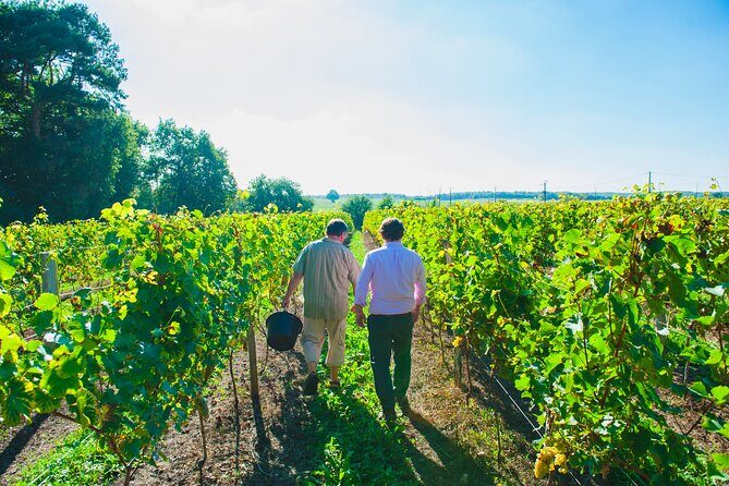 Picnic in the Vines - A Unique Loire Wine Experience - Who Will Enjoy This Experience?
