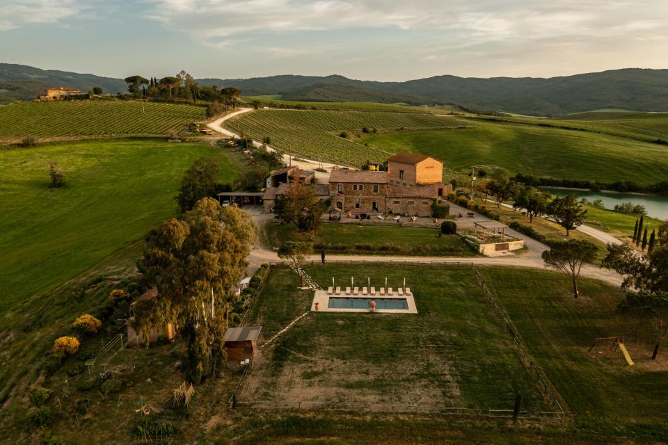 Picnic in Vineyards With Bottle of Brunello Di Montalcino - Key Points