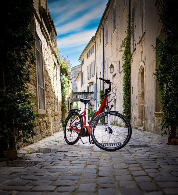 Picnic Next to Lavender Fields by E-Bike - Key Points